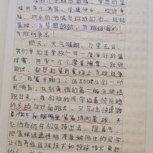 篮球训练感受作文500字初中生